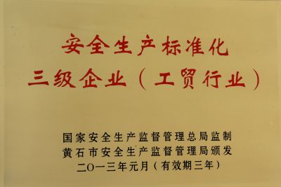 安全生產(chǎn)標(biāo)準(zhǔn)化證書